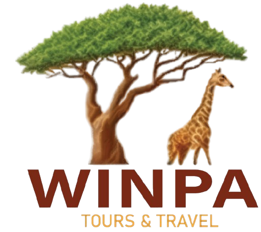 Winpa Tours and Travel